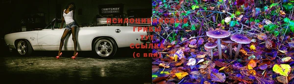 первитин Зерноград